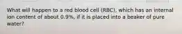 What will happen to a red blood cell (RBC), which has an internal ion content of about 0.9%, if it is placed into a beaker of pure water?