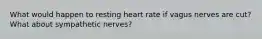 What would happen to resting heart rate if vagus nerves are cut? What about sympathetic nerves?