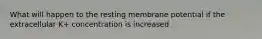 What will happen to the resting membrane potential if the extracellular K+ concentration is increased