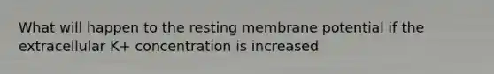 What will happen to the resting membrane potential if the extracellular K+ concentration is increased