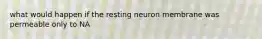 what would happen if the resting neuron membrane was permeable only to NA