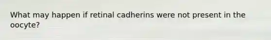 What may happen if retinal cadherins were not present in the oocyte?