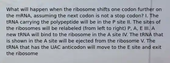 What will happen when the ribosome shifts one codon further on the mRNA, assuming the next codon is not a stop codon? I. The tRNA carrying the polypeptide will be in the P site II. The sites of the ribosomes will be relabeled (from left to right) P, A, E III. A new tRNA will bind to the ribosome in the A site IV. The tRNA that is shown in the A site will be ejected from the ribosome V. The tRNA that has the UAC anticodon will move to the E site and exit the ribosome