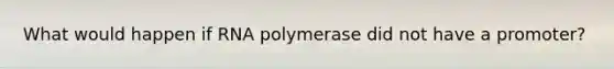 What would happen if RNA polymerase did not have a promoter?