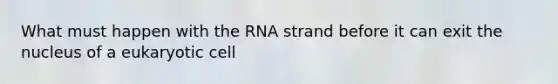 What must happen with the RNA strand before it can exit the nucleus of a eukaryotic cell