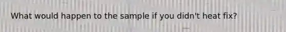 What would happen to the sample if you didn't heat fix?