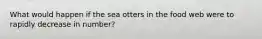 What would happen if the sea otters in the food web were to rapidly decrease in number?