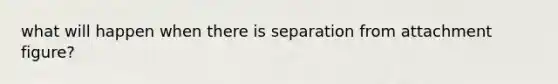 what will happen when there is separation from attachment figure?