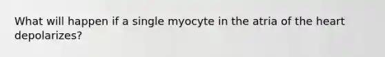 What will happen if a single myocyte in the atria of the heart depolarizes?