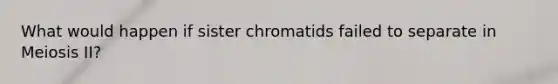 What would happen if sister chromatids failed to separate in Meiosis II?