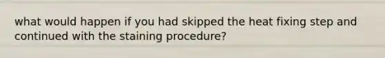 what would happen if you had skipped the heat fixing step and continued with the staining procedure?