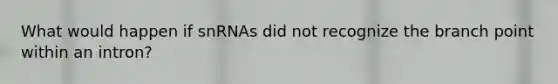 What would happen if snRNAs did not recognize the branch point within an intron?