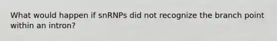 What would happen if snRNPs did not recognize the branch point within an intron?