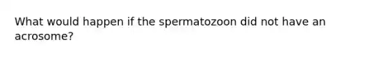 What would happen if the spermatozoon did not have an acrosome?