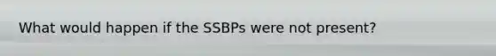 What would happen if the SSBPs were not present?