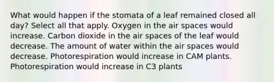 What would happen if the stomata of a leaf remained closed all day? Select all that apply. Oxygen in the air spaces would increase. Carbon dioxide in the air spaces of the leaf would decrease. The amount of water within the air spaces would decrease. Photorespiration would increase in CAM plants. Photorespiration would increase in C3 plants