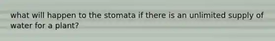 what will happen to the stomata if there is an unlimited supply of water for a plant?