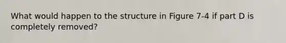 What would happen to the structure in Figure 7-4 if part D is completely removed?