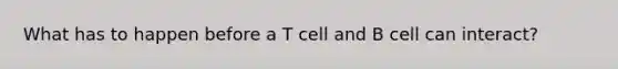 What has to happen before a T cell and B cell can interact?