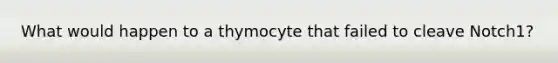 What would happen to a thymocyte that failed to cleave Notch1?