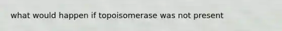 what would happen if topoisomerase was not present