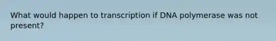 What would happen to transcription if DNA polymerase was not present?