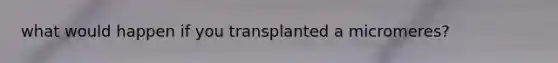 what would happen if you transplanted a micromeres?