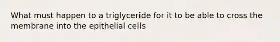 What must happen to a triglyceride for it to be able to cross the membrane into the epithelial cells