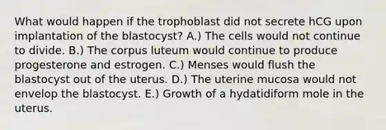 What would happen if the trophoblast did not secrete hCG upon implantation of the blastocyst? A.) The cells would not continue to divide. B.) The corpus luteum would continue to produce progesterone and estrogen. C.) Menses would flush the blastocyst out of the uterus. D.) The uterine mucosa would not envelop the blastocyst. E.) Growth of a hydatidiform mole in the uterus.