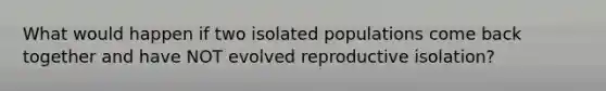 What would happen if two isolated populations come back together and have NOT evolved reproductive isolation?