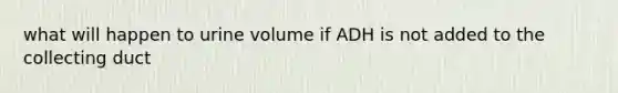 what will happen to urine volume if ADH is not added to the collecting duct