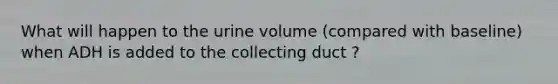 What will happen to the urine volume (compared with baseline) when ADH is added to the collecting duct ?