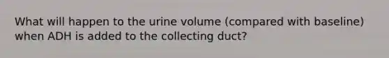 What will happen to the urine volume (compared with baseline) when ADH is added to the collecting duct?