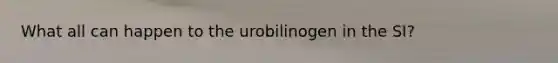 What all can happen to the urobilinogen in the SI?