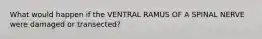 What would happen if the VENTRAL RAMUS OF A SPINAL NERVE were damaged or transected?