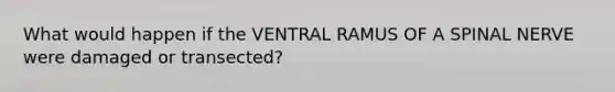 What would happen if the VENTRAL RAMUS OF A SPINAL NERVE were damaged or transected?