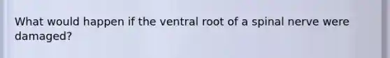 What would happen if the ventral root of a spinal nerve were damaged?