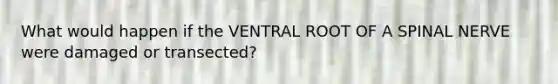 What would happen if the VENTRAL ROOT OF A SPINAL NERVE were damaged or transected?