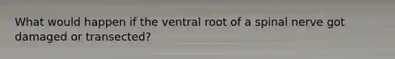 What would happen if the ventral root of a spinal nerve got damaged or transected?