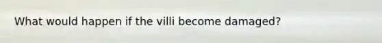 What would happen if the villi become damaged?