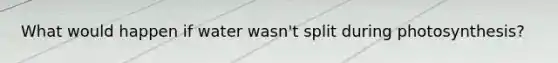 What would happen if water wasn't split during photosynthesis?