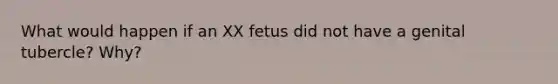 What would happen if an XX fetus did not have a genital tubercle? Why?