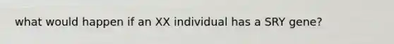 what would happen if an XX individual has a SRY gene?