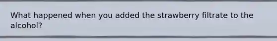 What happened when you added the strawberry filtrate to the alcohol?
