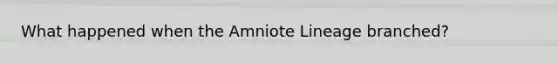 What happened when the Amniote Lineage branched?