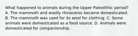 What happened to animals during the Upper Paleolithic period? A. The mammoth and woolly rhinoceros became domesticated. B. The mammoth was used for its wool for clothing. C. Some animals were domesticated as a food source. D. Animals were domesticated for companionship.