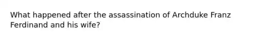 What happened after the assassination of Archduke Franz Ferdinand and his wife?