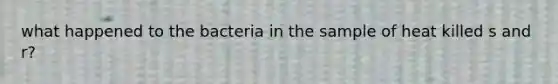 what happened to the bacteria in the sample of heat killed s and r?