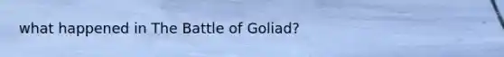 what happened in The Battle of Goliad?