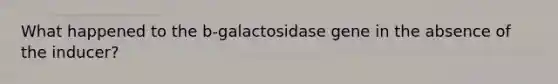 What happened to the b-galactosidase gene in the absence of the inducer?